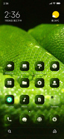 Python_snake