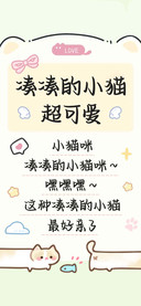 凑凑的小猫超可爱