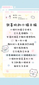 我喜欢的小猫日报