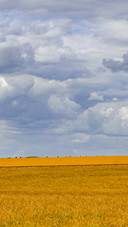 Scenic countryside of England