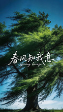 风过春生心向彼岸