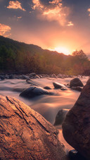 VCG41N1189394594