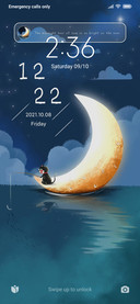Starry sky kitty