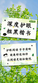 深度护眼粗黑楷书