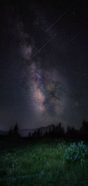 星