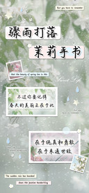 骤雨打落茉莉手书