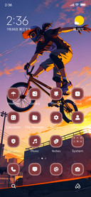Rider