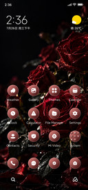 Velvet Roses
