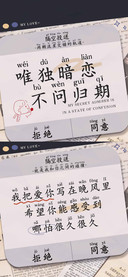 唯独暗恋不问归期