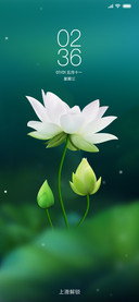 唯美莲花清新护眼