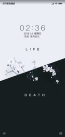 黑白兰花