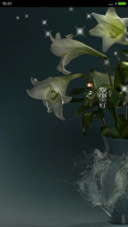 百合花
