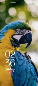 Parrot