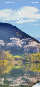 Rural scenery