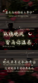 玫瑰晚风皆为你温柔
