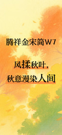 腾祥金宋简W7