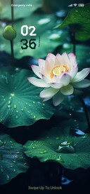 Chromatic Blossoms