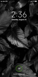 Blackleaf