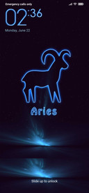  In Designs Zodiac Mania
