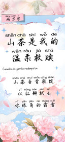山茶是我的温柔救赎
