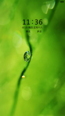 养眼绿色