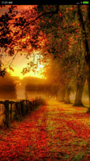  Thick autumn