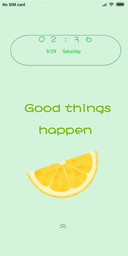 Summer oranges