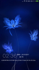 Bồ Đề Bổn Vô Thụ