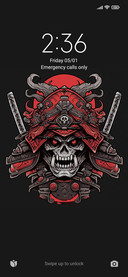 Samurai arms