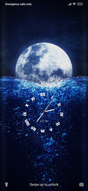 Sea Moon