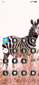 Zebra_3MDS