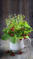 Flowering plants hav