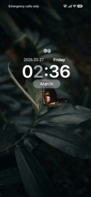 Midnight Flutter