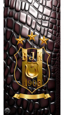 BJK-18