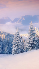 Colorful winter morning in the foggy mountains