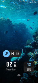 Deep Turtles
