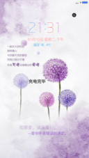 蒲公英的爱情约定