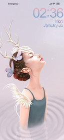 Butterfly Dream