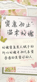爱意不止温柔玫瑰