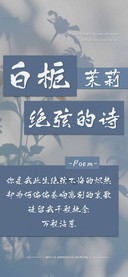 白栀茉莉绝弦的诗