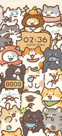 Cute Cat