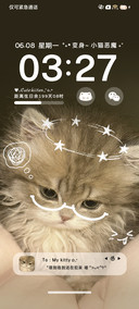 氛围感 小猫心事