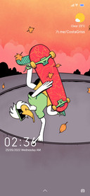 Amor IZ V13