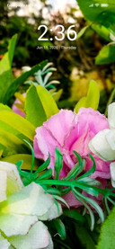 Flower_DWM2