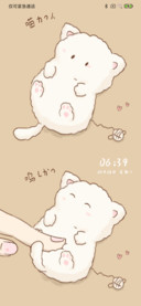 可爱猫咪