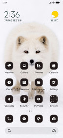 Arctic Fox