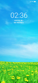 清新夏日 花开