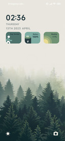 Foggy forest