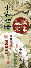 小满初晴温润宋体