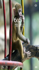 Wild Life N